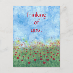 Thinking of you red poppies postcards