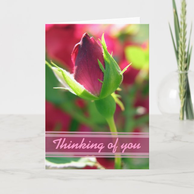 Thinking of you red rose bud card (Front)