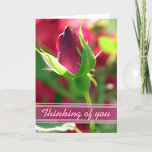 Thinking of you red rose bud card