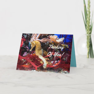 Thinking Of You Seahorse Card