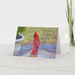 Thinking of You - Secret Pal - Red Cardinal Card