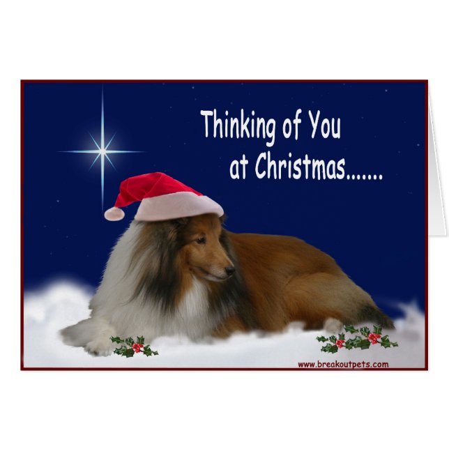 Thinking of You Sheltie Notecards (Front Horizontal)