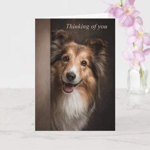 Thinking of You Shetland Sheepdog Card