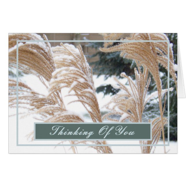THINKING OF YOU/SNOW-COVERED ORNAMENTAL GRASS (Front Horizontal)