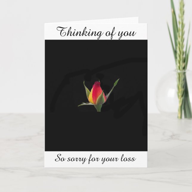 Thinking of you So sorry for your loss rose Card (Front)