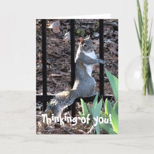 Thinking of you! Squirrel Card