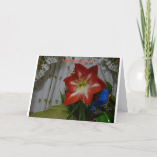 Thinking of You, Stargazer Amaryllis Card