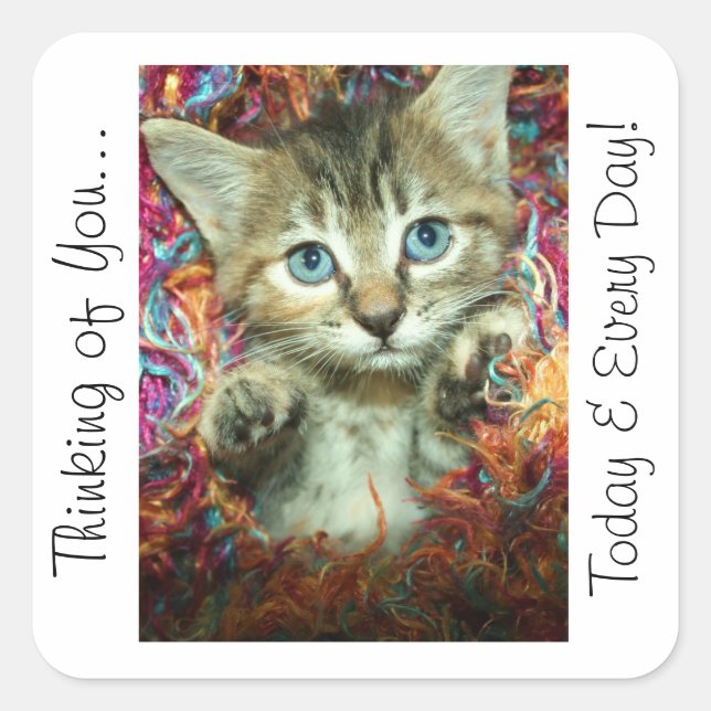 Thinking of You Sticker Kitten (Front)