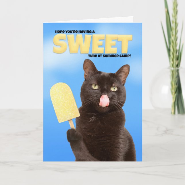 Thinking of You Summer Camp Wishes Funny Cat Holiday Card (Front)
