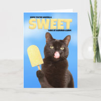 Thinking of You Summer Camp Wishes Funny Cat