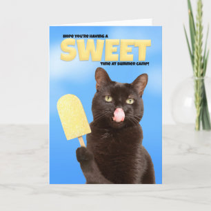 Thinking of You Summer Camp Wishes Funny Cat Holiday Card