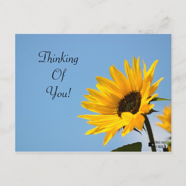 Thinking of You Sunflower Card (Front)