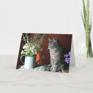 'Thinking of You', Tabby Cat Card