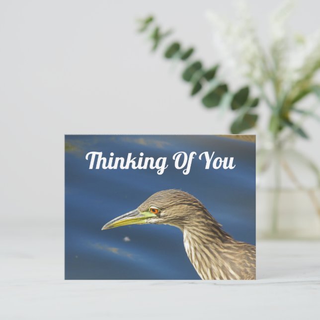 Thinking Of You Tan Bird Long Distance Friendship Postcard (Standing Front)