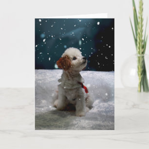 Thinking of You this Holiday Season Folded Card