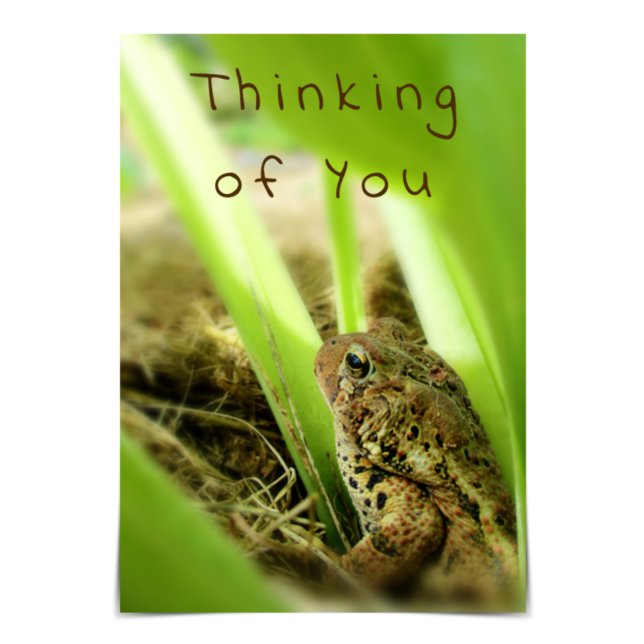 "Thinking of You" Thoughtful Toad Card (Creator Uploaded)