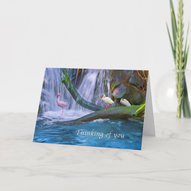 Thinking of You, Tropical Waterfall, Birds Card (Front)