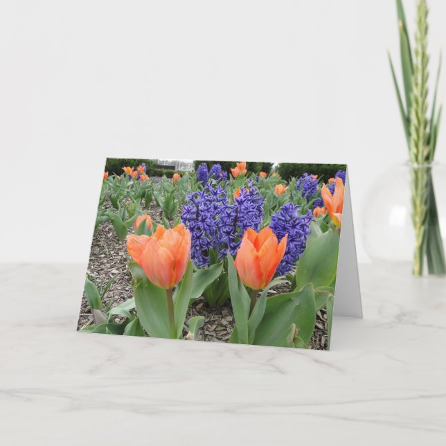 Thinking of You, Tulips & Hyacinths Card (Front)