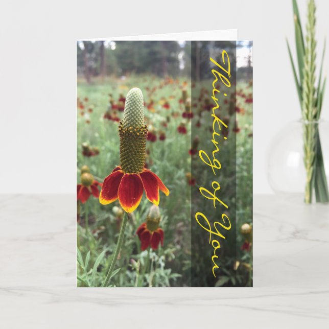 Thinking of You Upright Prairie Coneflower Photo Card (Front)