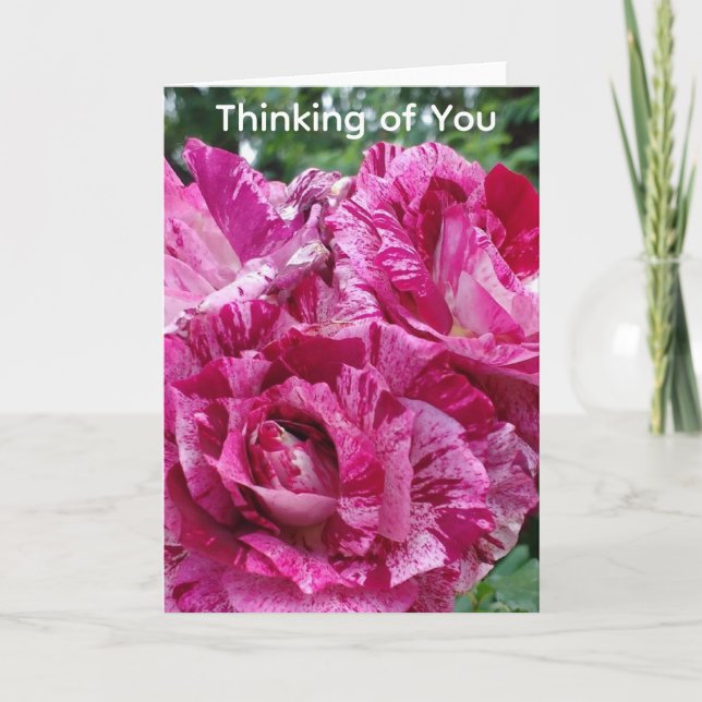 Thinking of You Varigated Roses Card (Front)