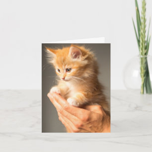 Thinking Of You Warm Fuzzy Kitten Cat Lover Card