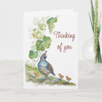 Thinking of You Watercolor California Quail Bird