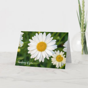 thinking of you white daisy card
