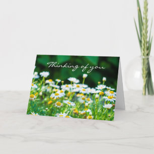 Thinking of You White Flowers Modern Sympathy Card
