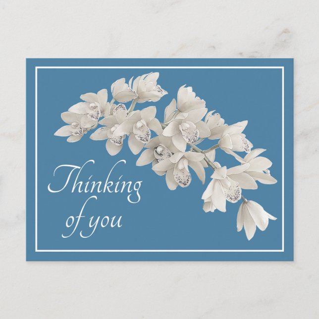 Thinking of You White Orchid Modern Botanical Chic Postcard (Front)