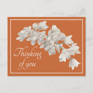 Thinking of You White Orchid Modern Botanical Chic Postcard