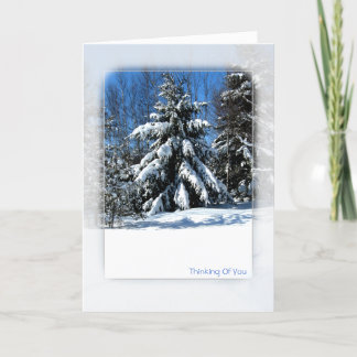 Thinking Of You - Winter Tree Card