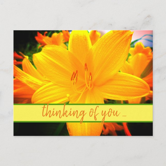 Thinking of You Yellow Orange Day Lily Flowers Postcard (Front)