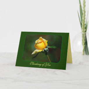 Thinking of You Yellow Rose Bud Card