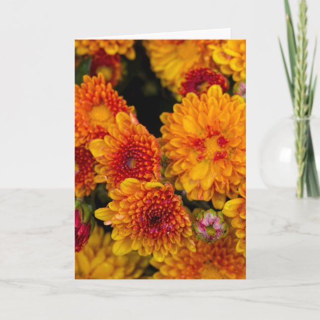 Thinking of you yellow with orange mum card (Front)