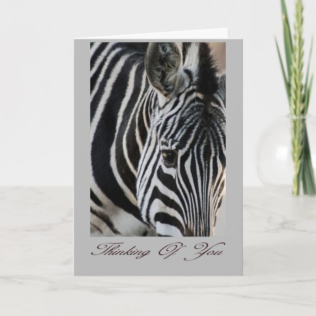 Thinking of you - Zebra - Animal Card (Front)