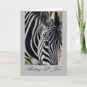 Thinking of you - Zebra - Animal Card