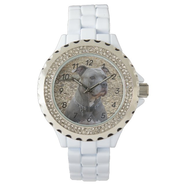 Thinking Pitbull Women's Numbered Watch (Front)
