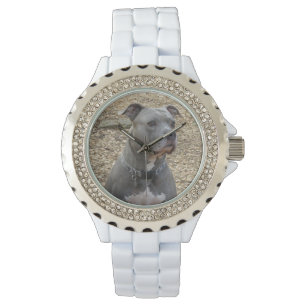 Thinking Pitbull Women's Watch