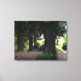 Thinking Place Canvas Print