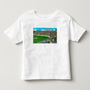 Third Base Line View of Municipal Baseball Toddler T-Shirt