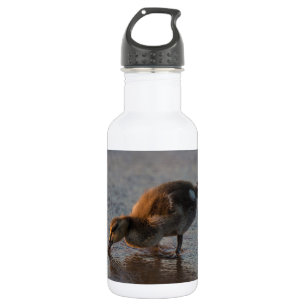 Thirsty Baby 532 Ml Water Bottle