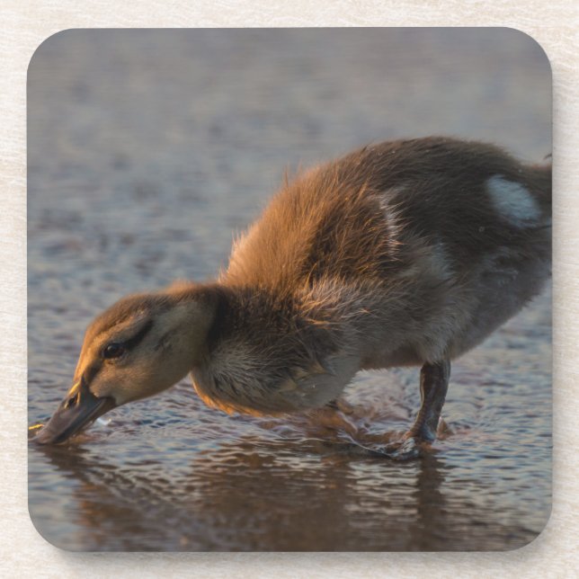 Thirsty Baby Coaster (Front)