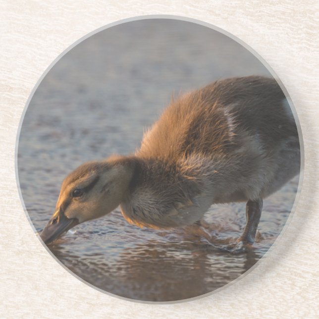 Thirsty Baby Coaster (Front)