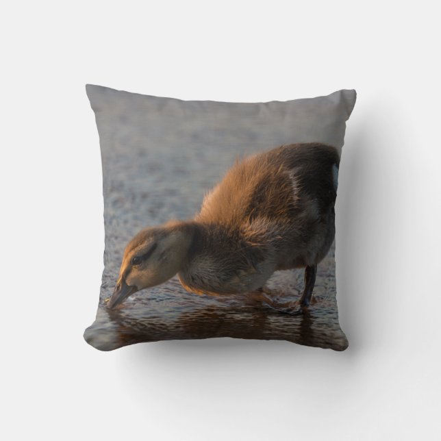 Thirsty Baby Cushion (Front)