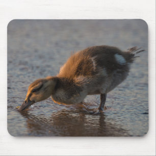Thirsty Baby Mouse Mat