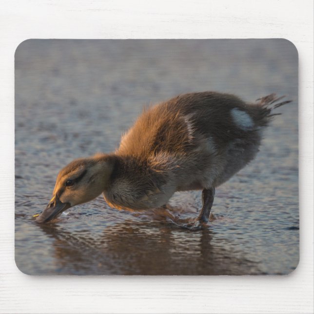 Thirsty Baby Mouse Mat (Front)