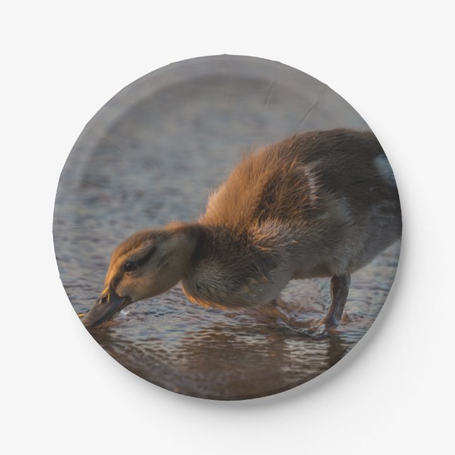 Thirsty Baby Paper Plate (Front)