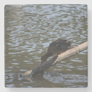 Thirsty Duck Stone Coaster