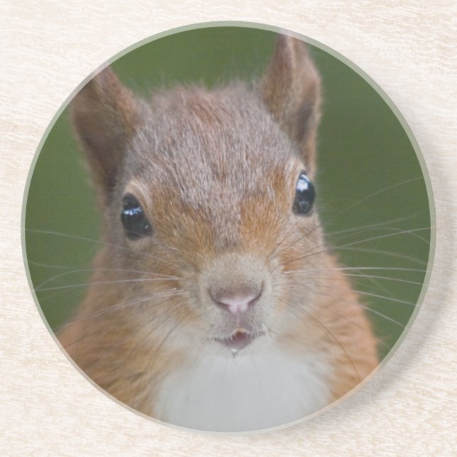 Thirsty Squirrel Coaster (Front)