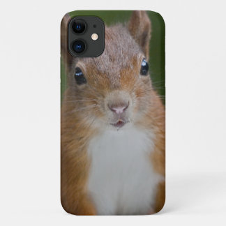 Thirsty Squirrel iPhone 11 Case